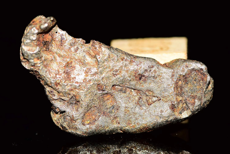 Golden Pallasite - Saharock.com