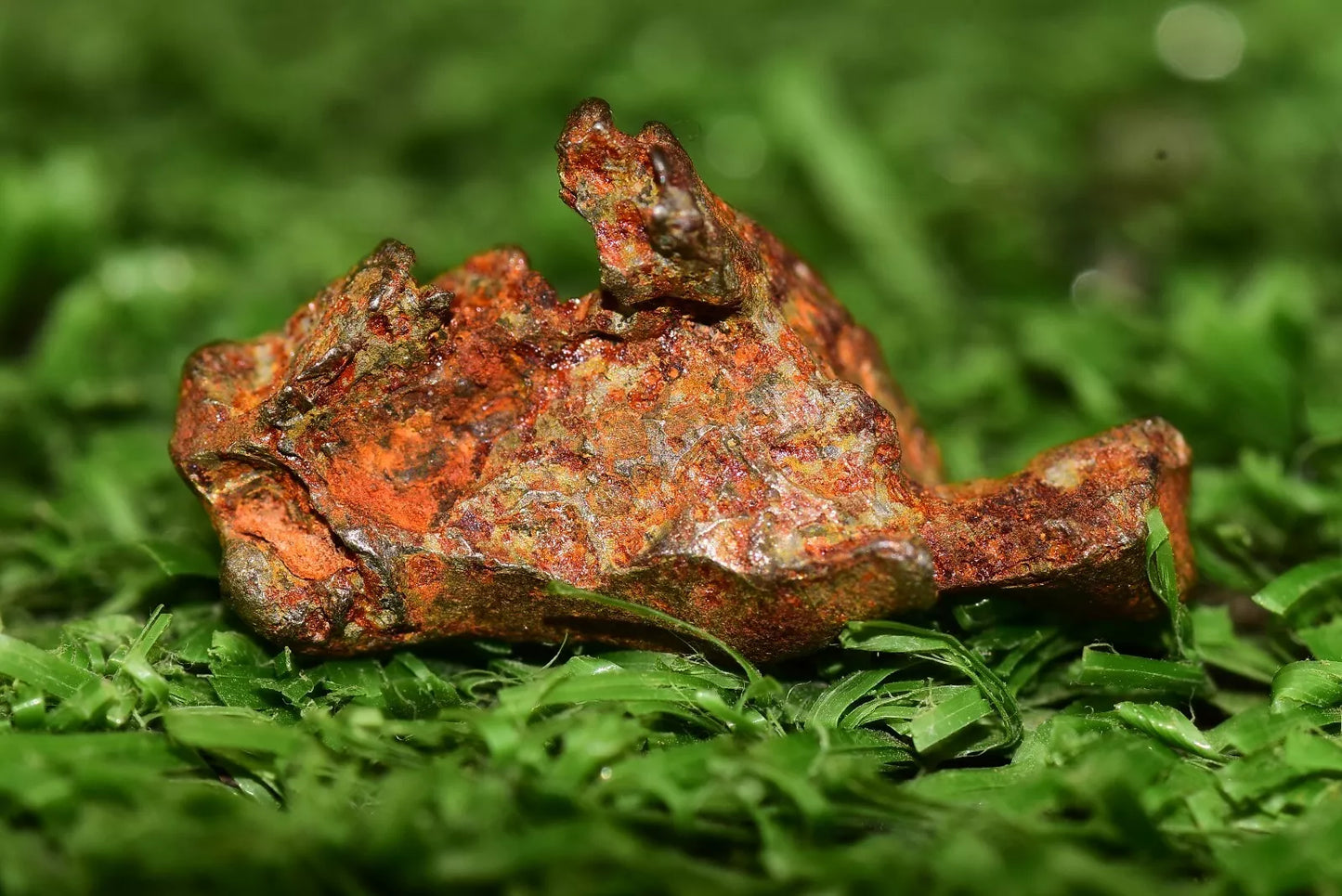 Meteorite Golden Pallasite full fragment 2.49 grams - MeteoriteNwa.com