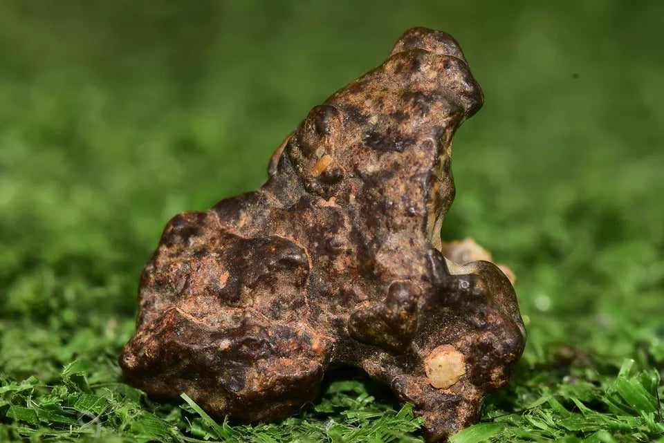 Meteorite NWA 12344 HED achondrite Eucrite, polymict 6.26 grams fragment - MeteoriteNwa.com