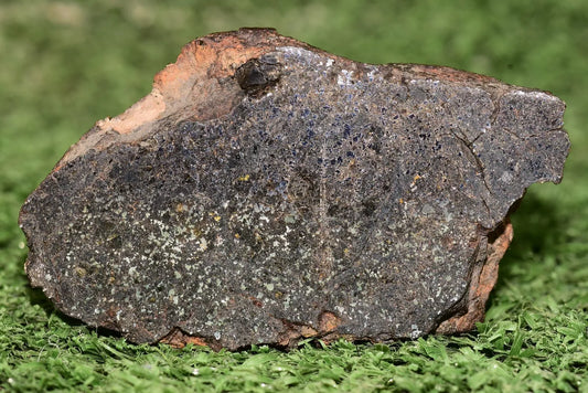 Meteorite Talsint Mesosiderite stony Iron Endcut 97.5 grams - MeteoriteNwa.com