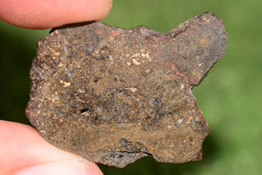 Meteorite NWA 12344 Slice HED achondrite Eucrite, polymict SLICE 4.9 GRAMS - MeteoriteNwa.com