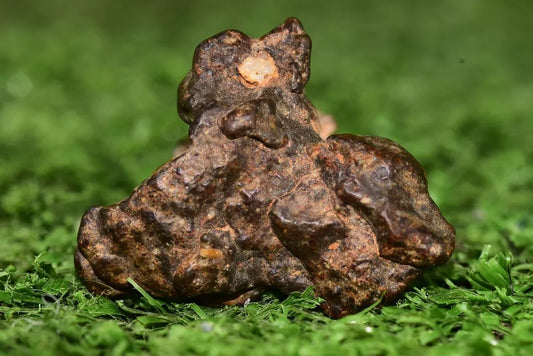 Meteorite NWA 12344 HED achondrite Eucrite, polymict 6.26 grams fragment - MeteoriteNwa.com