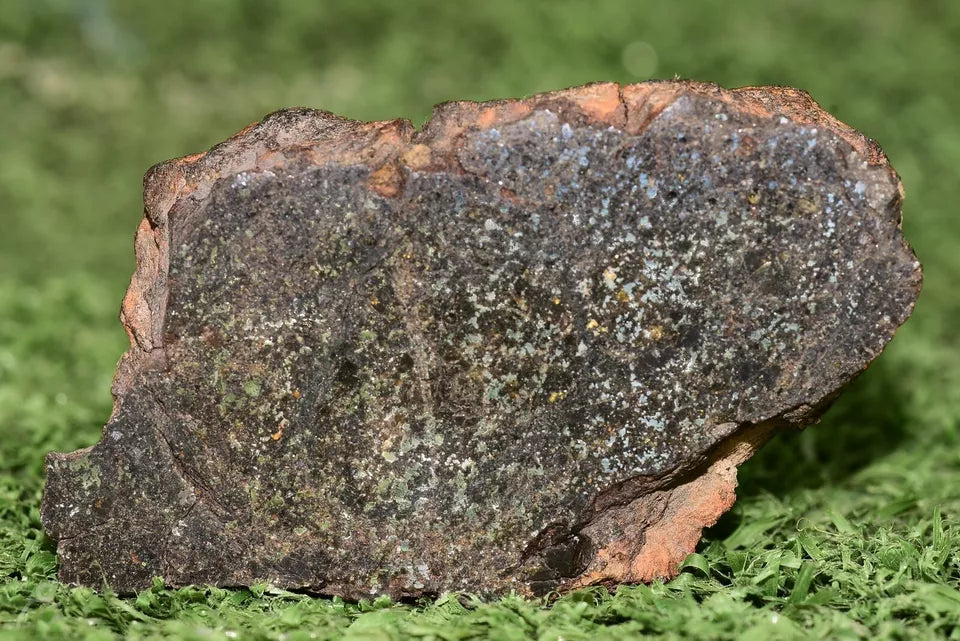Meteorite Talsint Mesosiderite stony Iron Endcut 97.5 grams - MeteoriteNwa.com