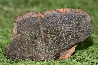 Meteorite Talsint Mesosiderite stony Iron Endcut 97.5 grams - MeteoriteNwa.com