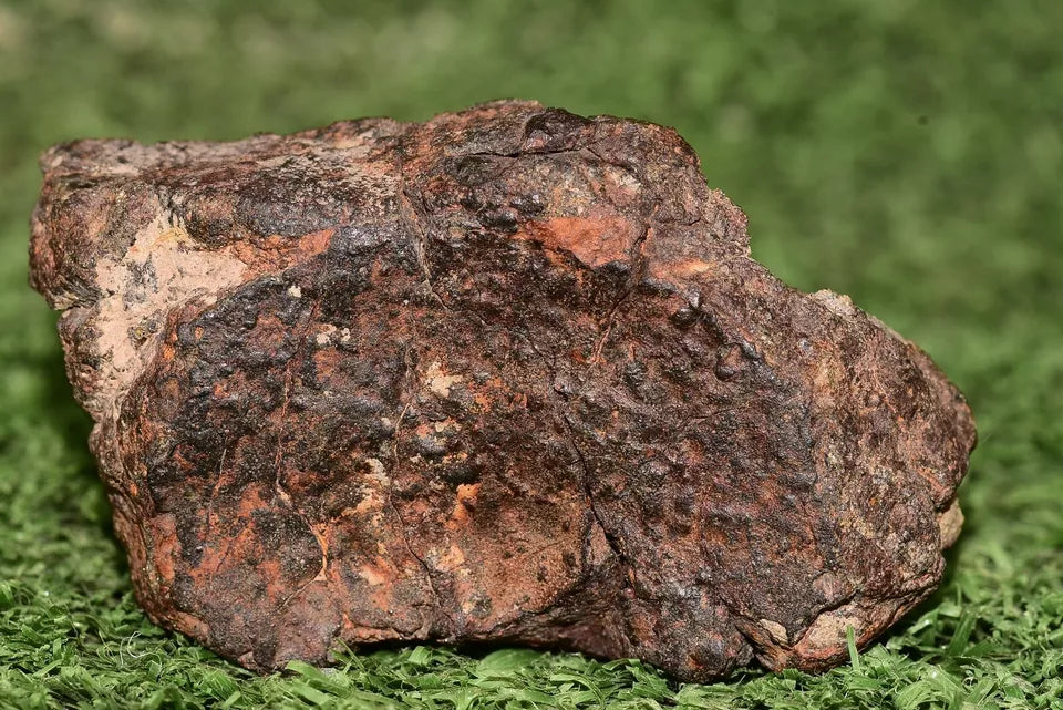 Meteorite Talsint Mesosiderite stony Iron Endcut 97.5 grams - MeteoriteNwa.com